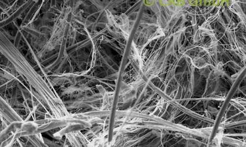 Amiante de chrysotile dans joint plat, image MEB | © CRB Analyse Service GmbH